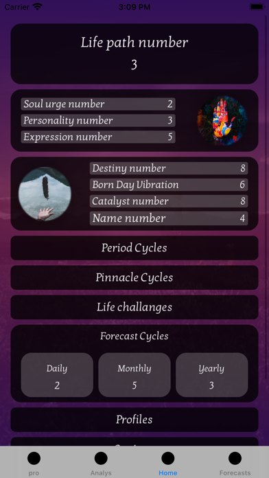Our Numerology Screenshot