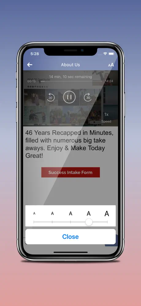 The Simplifier