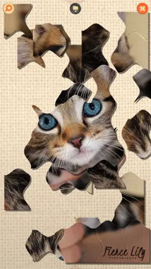PuzzleX Phone screenshot 1