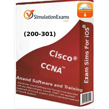 Exam Sim For CCNA 200-301 Читы