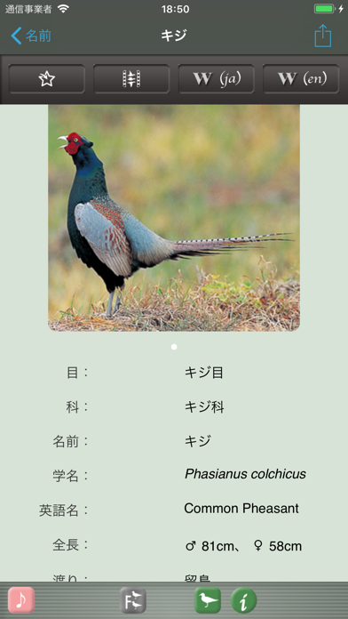 野鳥の鳴き声図鑑のおすすめ画像5