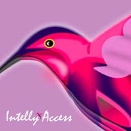 IntellyAccess