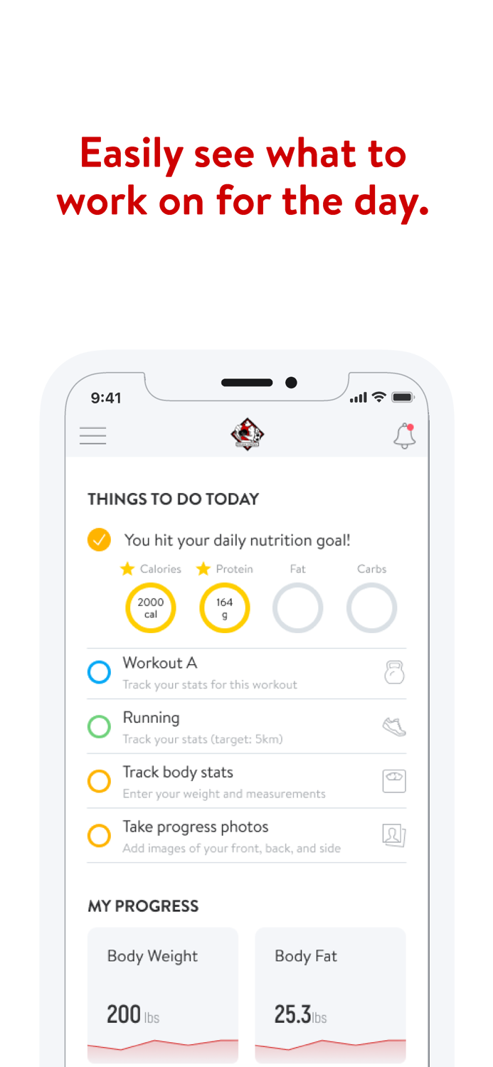 Fitness Lifestyle Online