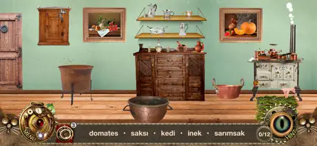 Alice: Gizli Nesne Bulma Oyunu