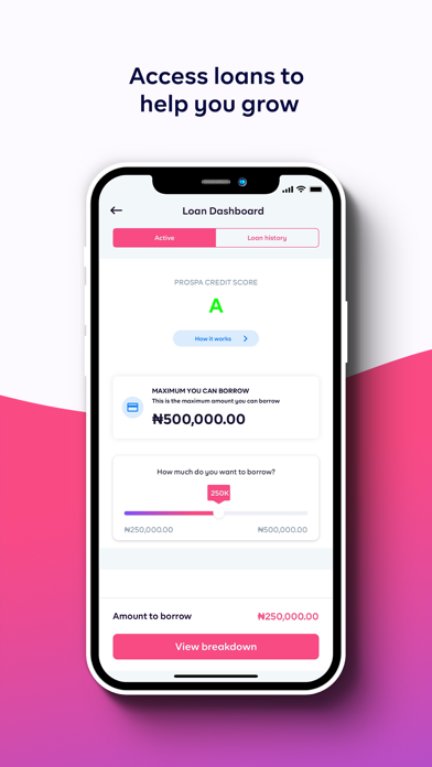 Prospa - Business Account Screenshot