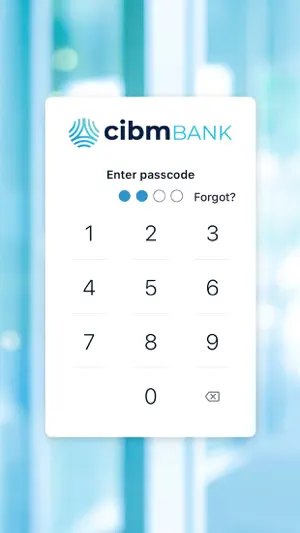 CIBM Bank screenshot 2