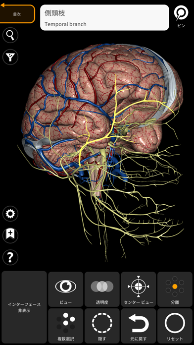 解剖学 - 3Dアトラスのおすすめ画像6