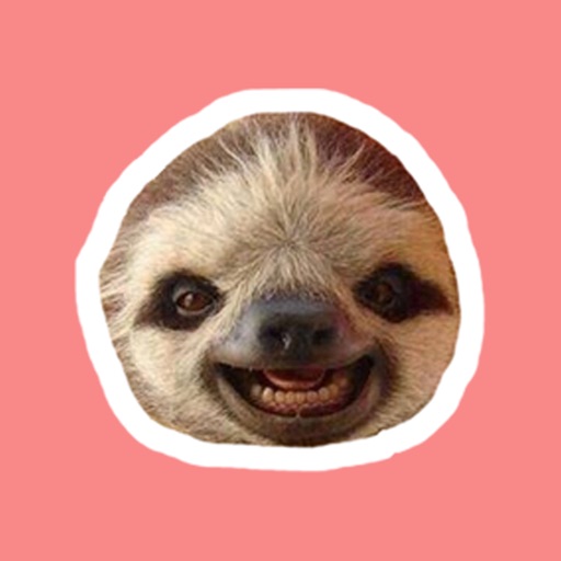 Sloths