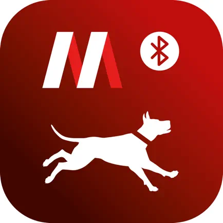 Doggify Читы