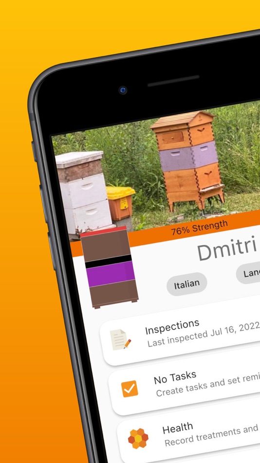 #4. HiveBloom (iOS) 由: Martin Fuhry