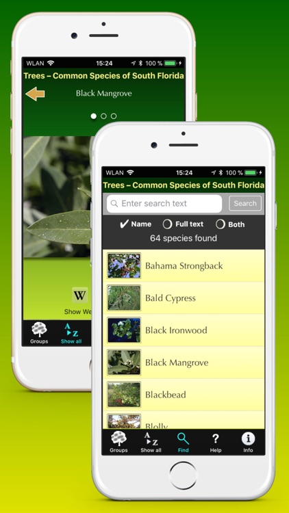 Southern Florida Trees