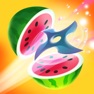 Get Fruit Master for iOS, iPhone, iPad Aso Report