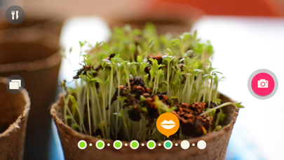 My Food - Nutrition for Kids Screenshot