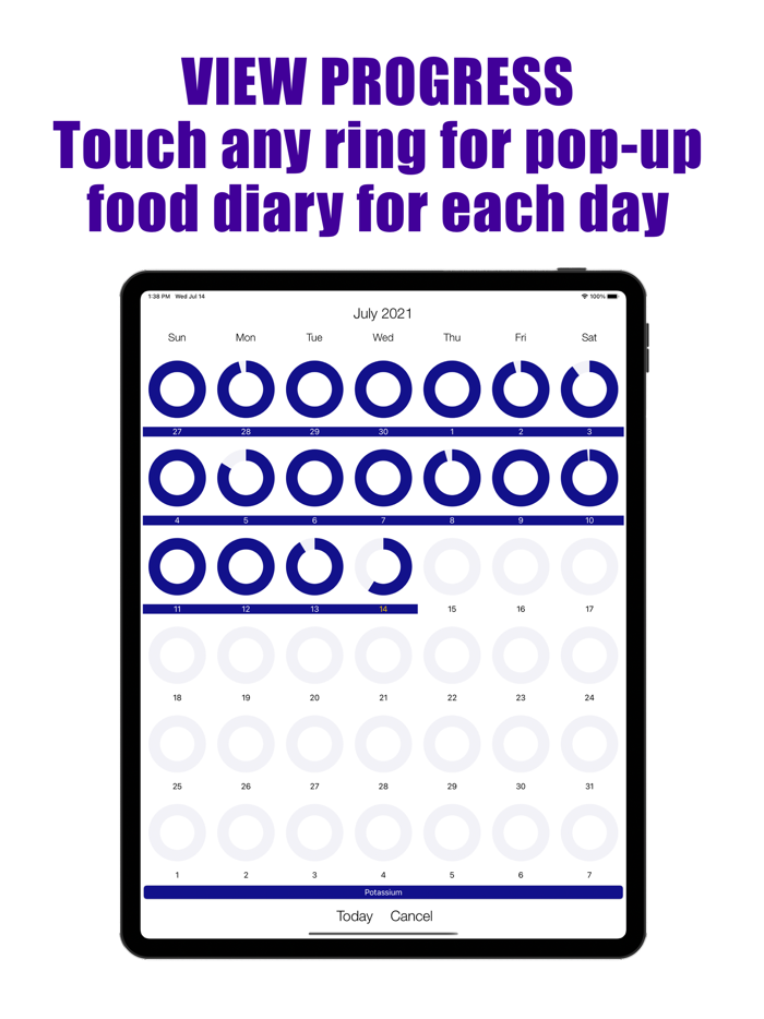 Potassium Counter and Tracker