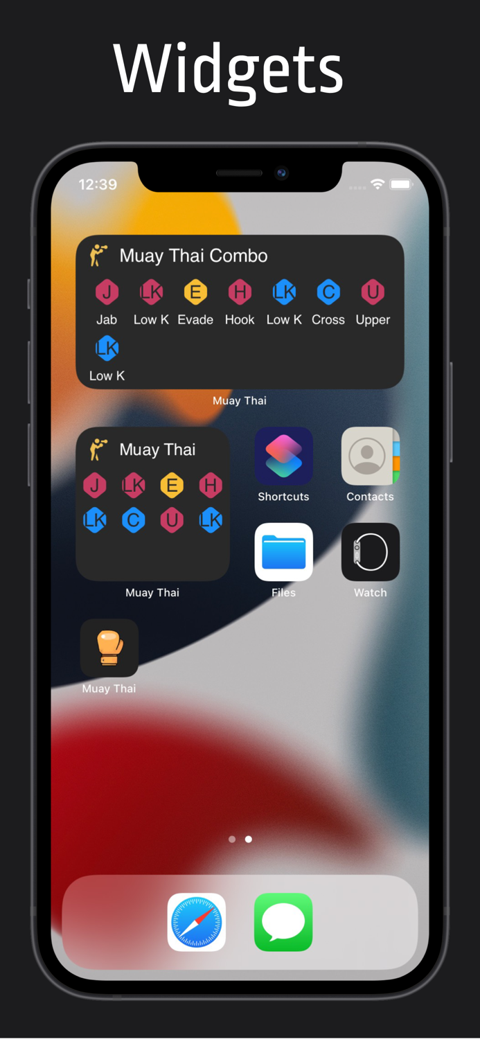 Muay Thai - Training and Combos