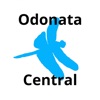 Odonata Central