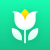 Plant Parent: 植物養護指南 - Glority Global Group Ltd.