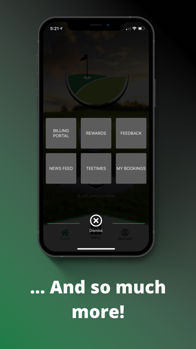 Airport Drive Golf Club Screenshot