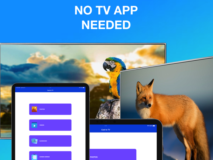 Screen Mirroring - TV and Device