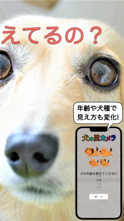 犬の目カメラ