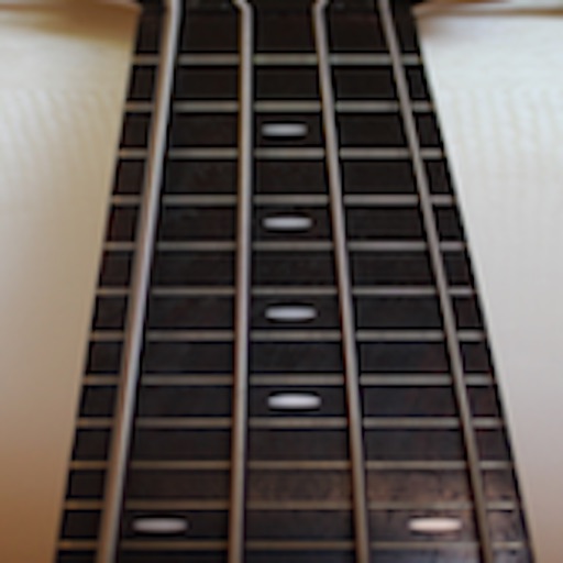 Bass Fretboard Addict Lite