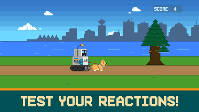 Cruisin' Corgi Screenshot