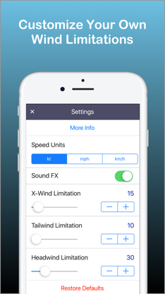 Flight Winds screenshot 4