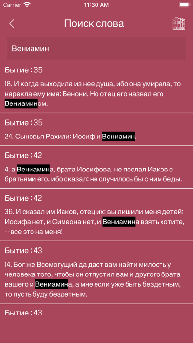 Russian Bible Offline Screenshot