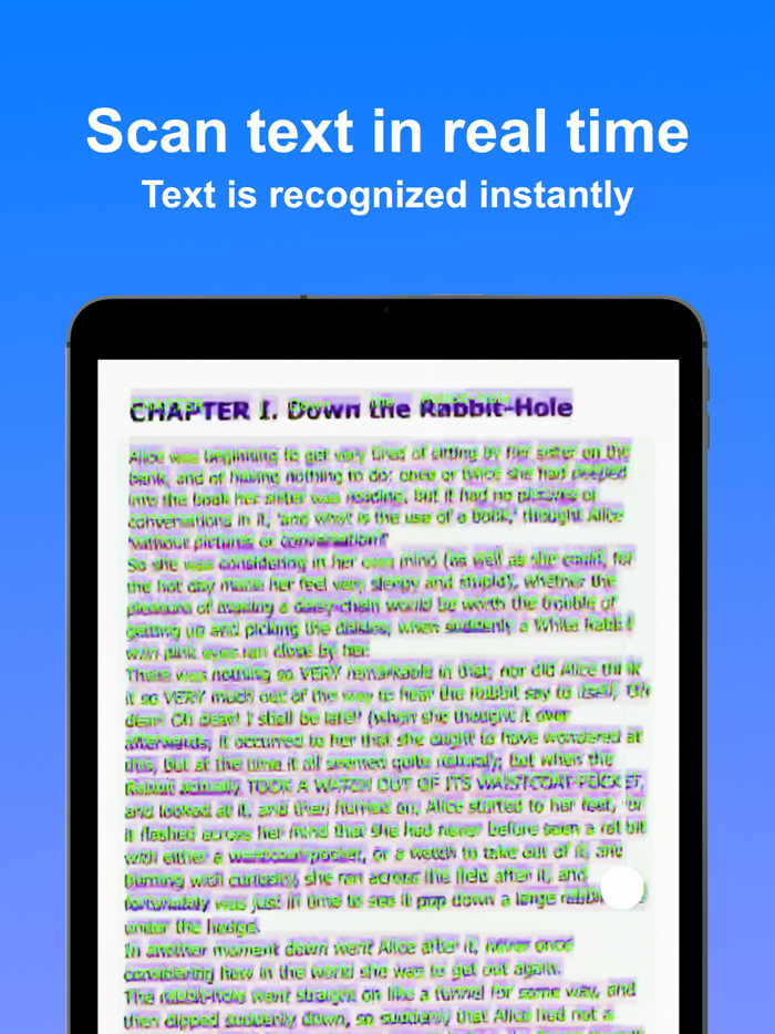 Text Capture Image to Text