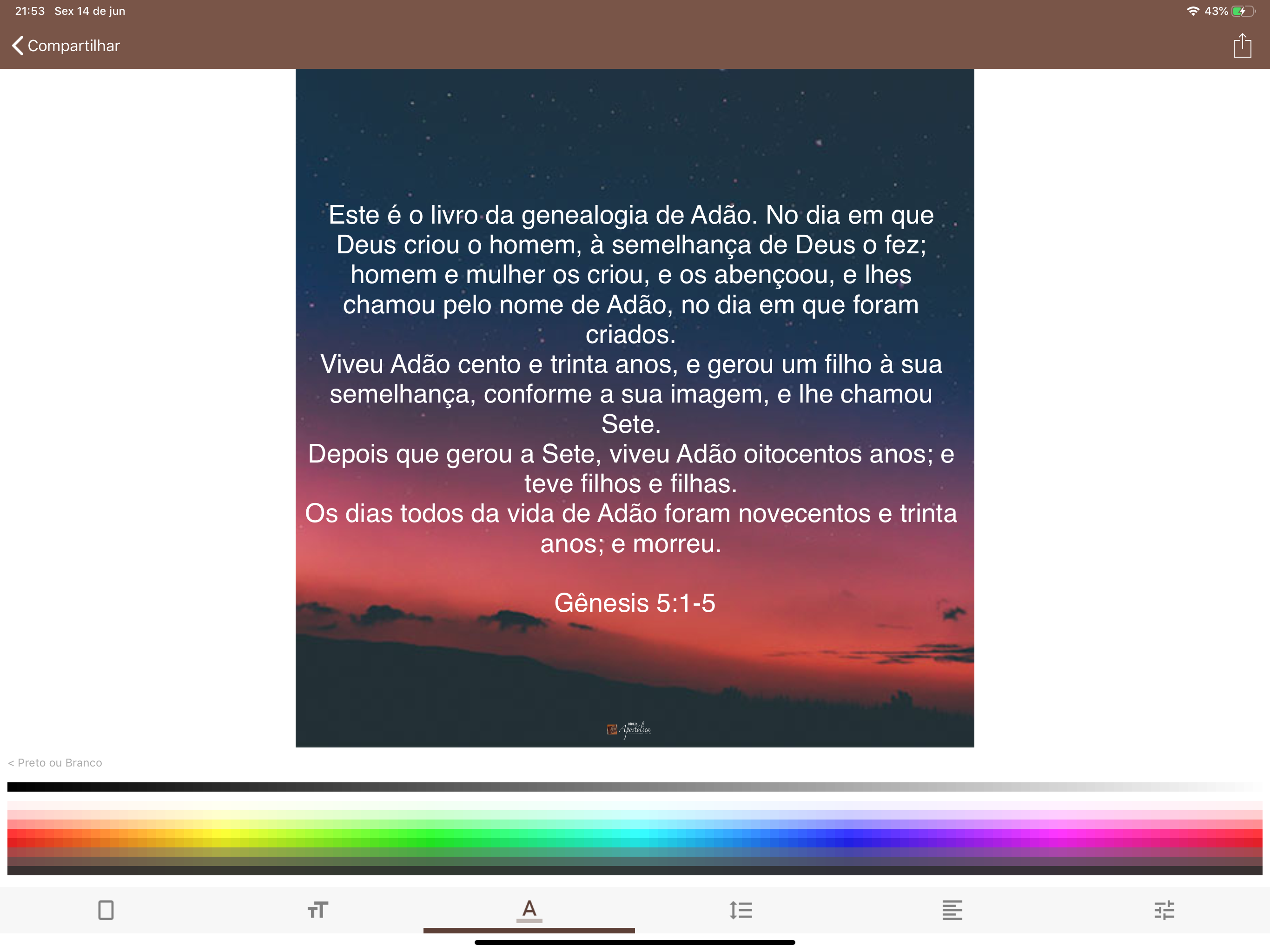 Bíblia Apostólica