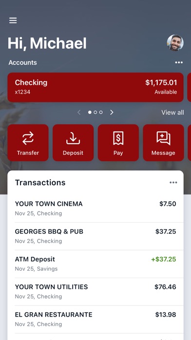 First National Bank Bottineau Screenshot