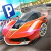 Sports Car Test Driver icon