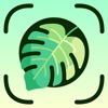 Plant Identifier Aрр icon