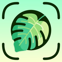 Plant Identifier Aрр logo