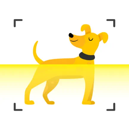 Dog scanner - Dog Breed ID Cheats