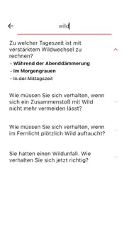 führerschein 2024 - basic iphone screenshot 3