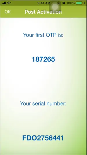 BSP SoftToken screenshot 3