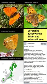 schmetterlinge bestimmen iphone bildschirmfoto 2