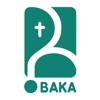 BAKA icon