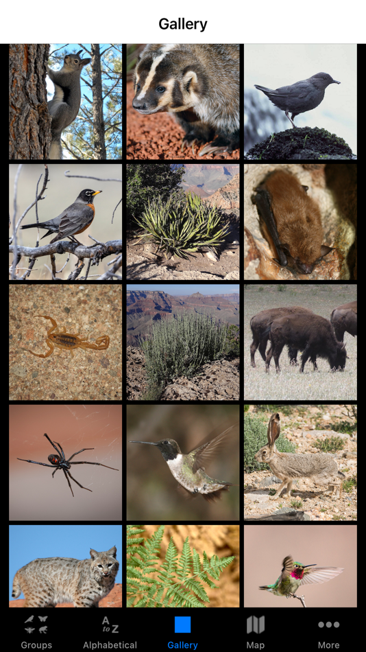 #3. Grand Canyon NP Field Guide (iOS) 由: ParksConnect