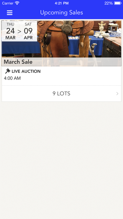 Lightning Auctions Screenshot