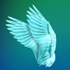 Charli icon