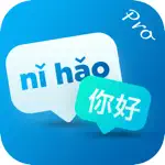 Pinyin Helper Pro App Positive Reviews