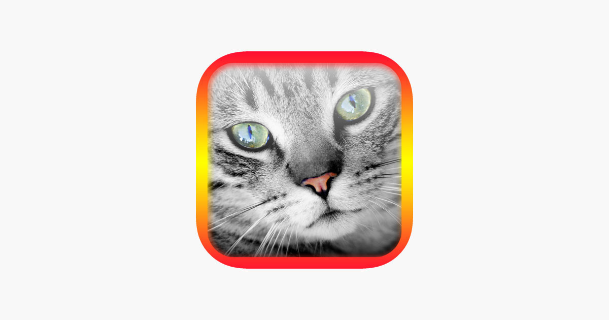 مترجم للقطط - تكلم مع القطة على App Store