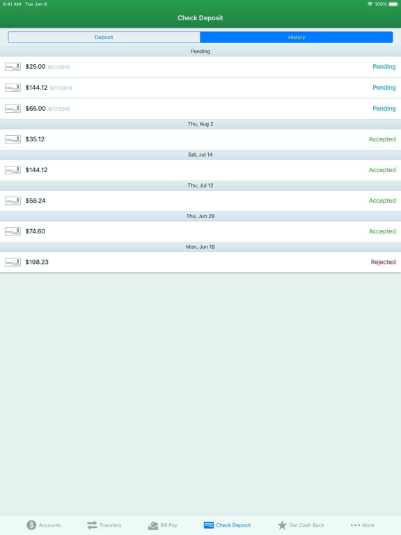 BayPort CU Mobile Banking iPad screenshot 7 - Finance app