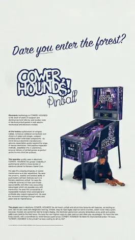 Game screenshot Pinball - Cower, Hounds! mod apk