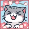 Kitty Peekaboo 3 icon