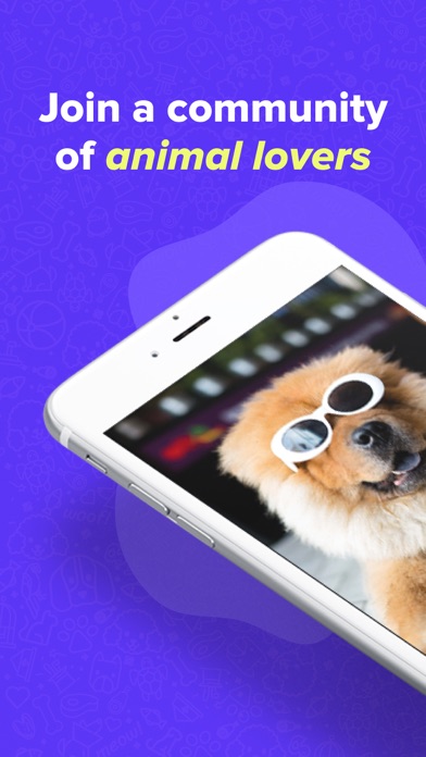 Zoomie - Animal Short Videos Screenshot