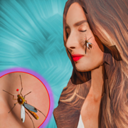 Mosquito Insect Life Simulator