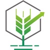 Kamut icon